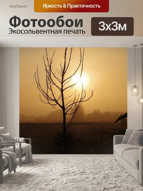 Фотообои Восход солнца