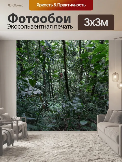 Фотообои Коста-Рика Дерево
