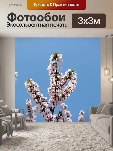 Фотообои Вишня