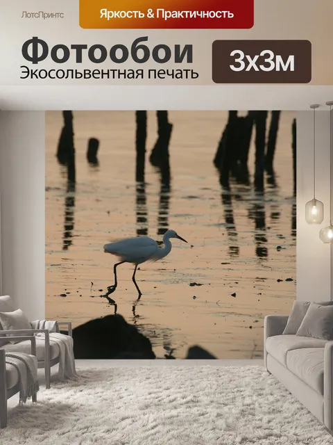 Фотообои Белая цапля