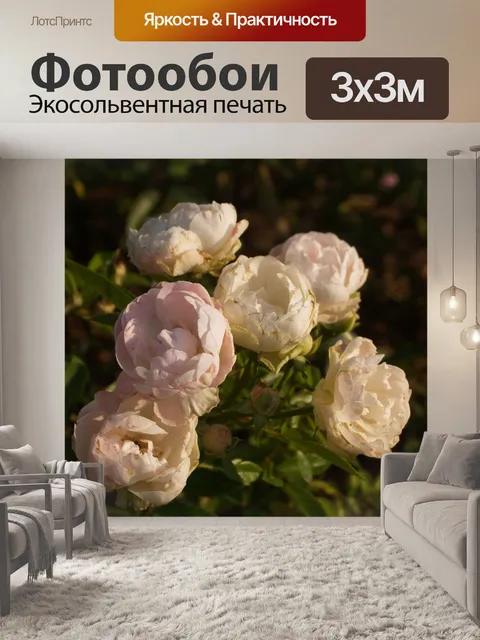 Фотообои Фото цветка орхидеи
