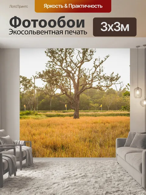 Фотообои Мертвое дерево, силуэт дерева