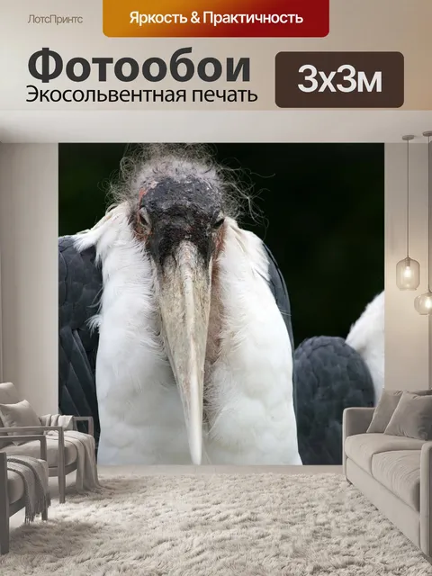 Фотообои Марибу