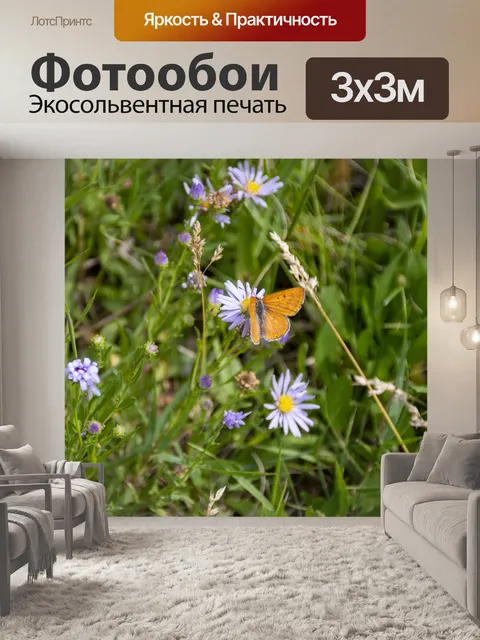 Фотообои бабочка