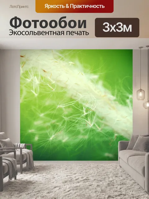 Фотообои Красивый цветок