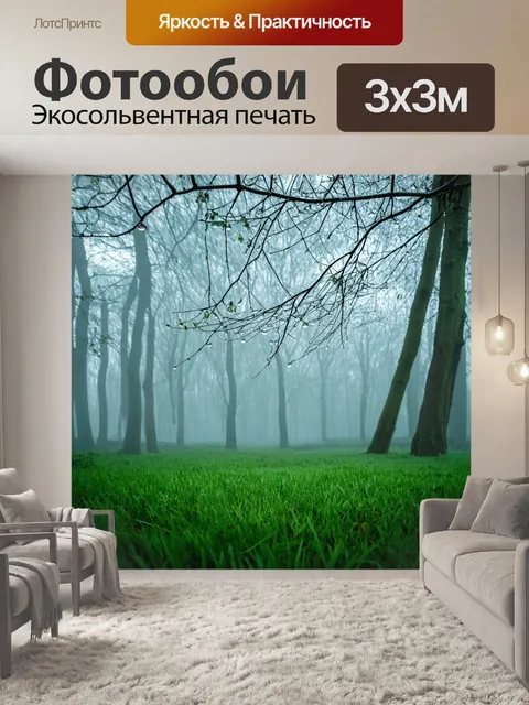 Фотообои туманное утро с хрупкими ветвями деревьев и каплями росы на траве