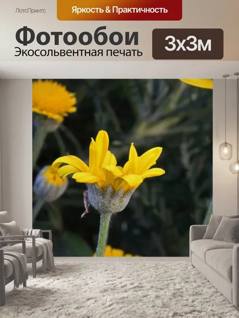 Фотообои ярко-желтая маргаритка