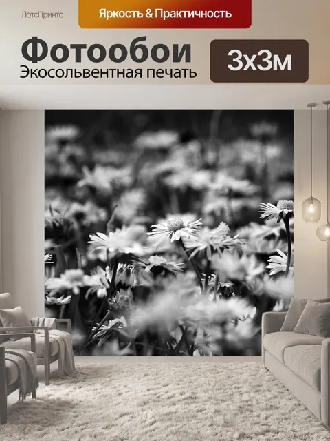 Фотообои Ромашки