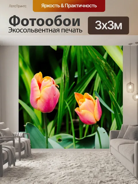 Фотообои Цветы тюльпаны