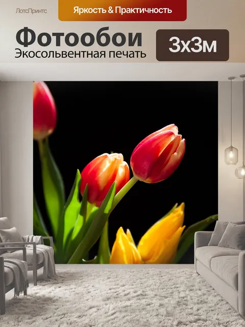 Фотообои Тюльпаны