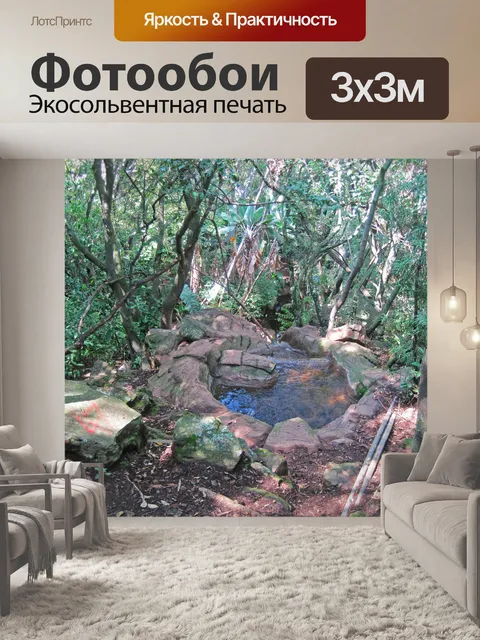 Фотообои небольшой водоем