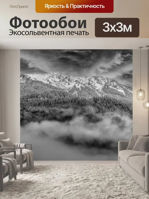 Фотообои Туманный лес с драматическим небом
