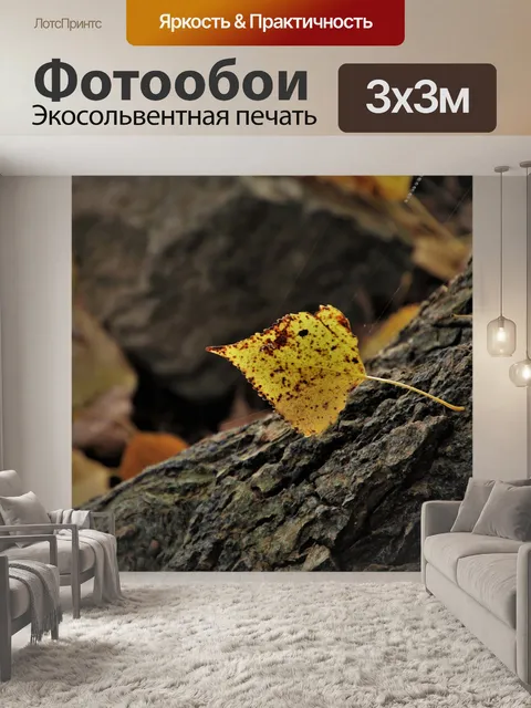 Фотообои Осенние листья