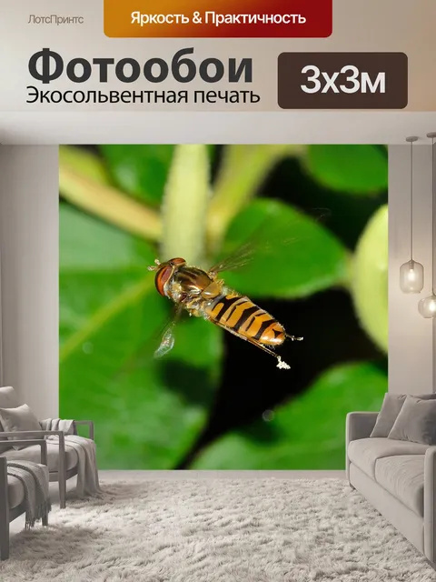 Фотообои Насекомые