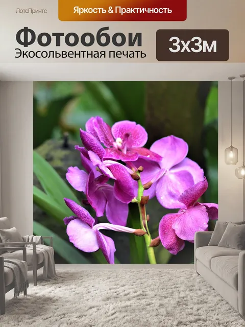 Фотообои Цветок
