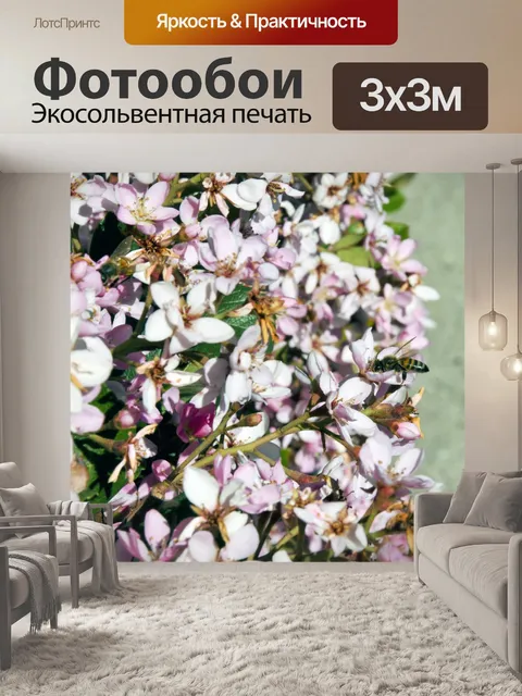 Фотообои Пчела на розовый цветок кластера