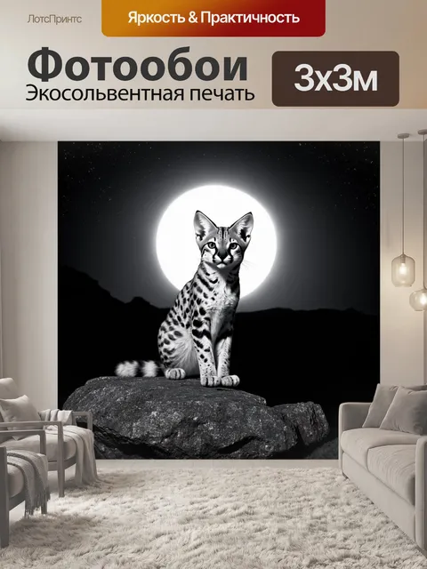 Фотообои ночной сервал, сидящий на живописном камне, обрамленном лунным светом и звездами на черном небе