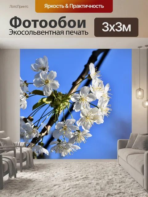 Фотообои Цветение яблони