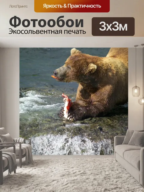 Фотообои Бурый медведь