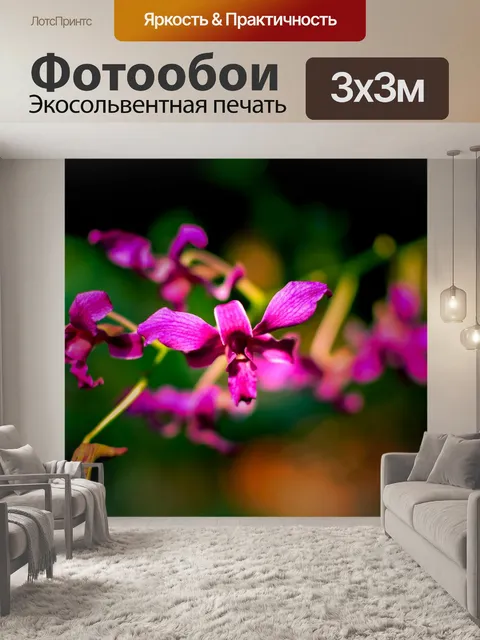Фотообои Орхидея