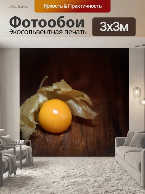 Фотообои Физалис