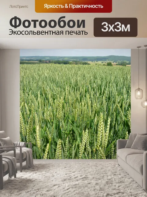Фотообои Поле пшеницы