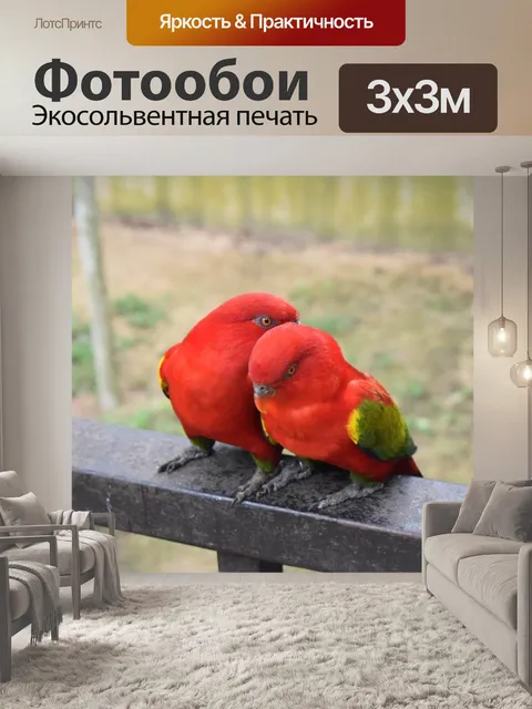 Фотообои Птицы