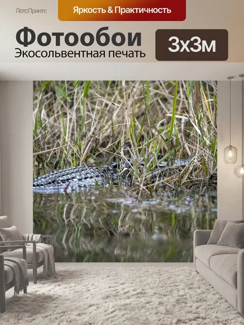 Фотообои Аллигатор на болоте