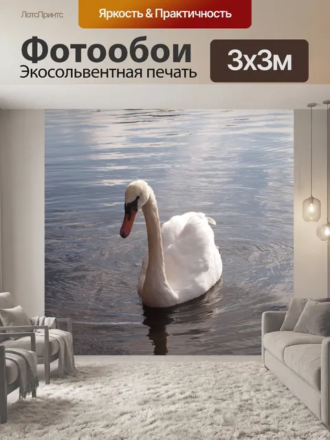 Фотообои Лебедь