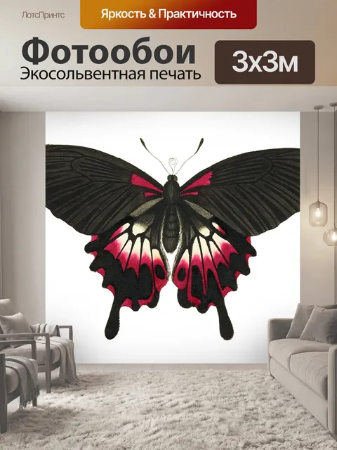 Фотообои Бабочка моли мотылек винтаж