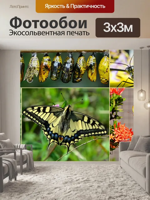 Фотообои Коллаж из бабочек