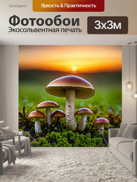 Фотообои грибы на фоне вечернего заката
