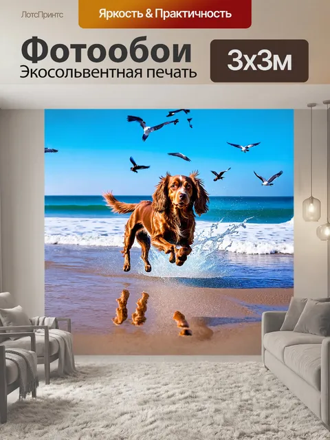 Фотообои кокер-спаниель бежит по пляжу, его шерсть развевается на ветру