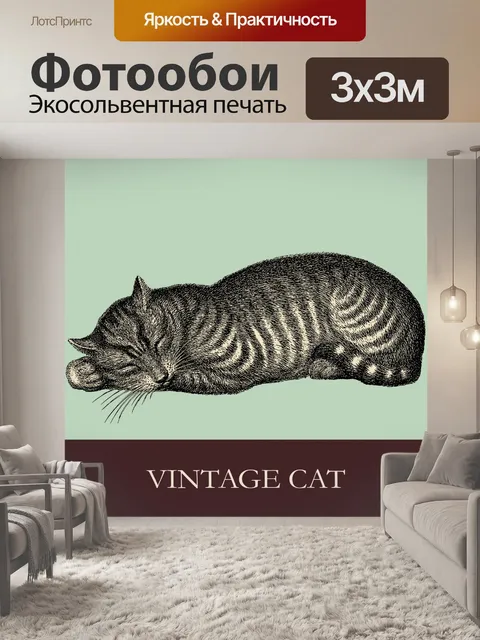 Фотообои Иллюстрация спящего кота