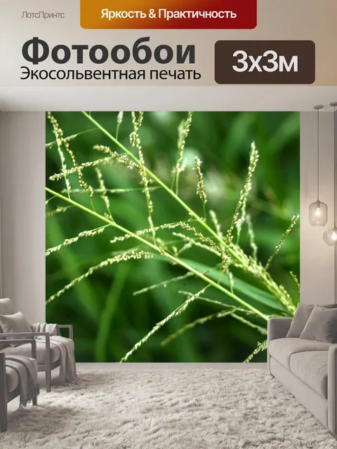 Фотообои Сухой дикий цветок