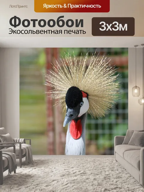 Фотообои Венценосный журавль