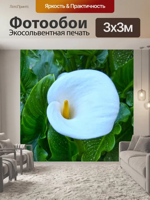 Фотообои Белая лилия