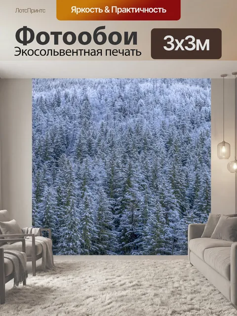 Фотообои Лес зимой