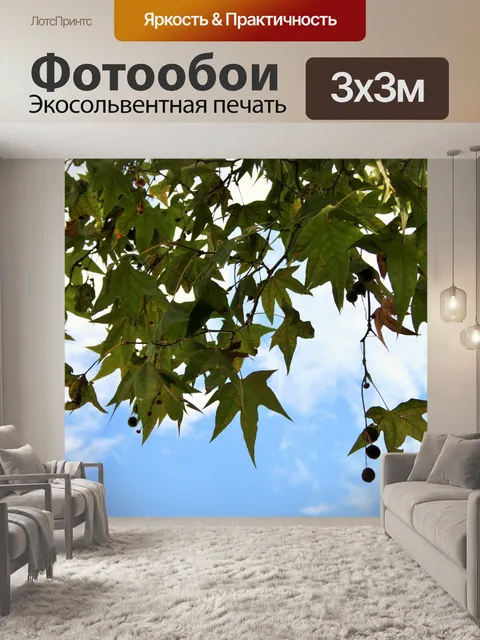 Фотообои клен