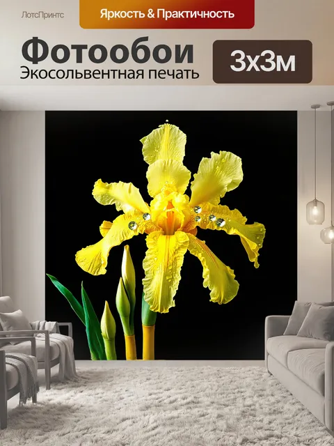 Фотообои композиция, где центральное место занимает великолепный желтый ирис, щедро покрытый капельками воды, словно…
