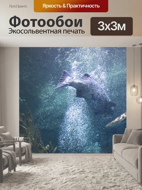 Фотообои Рыба и акула