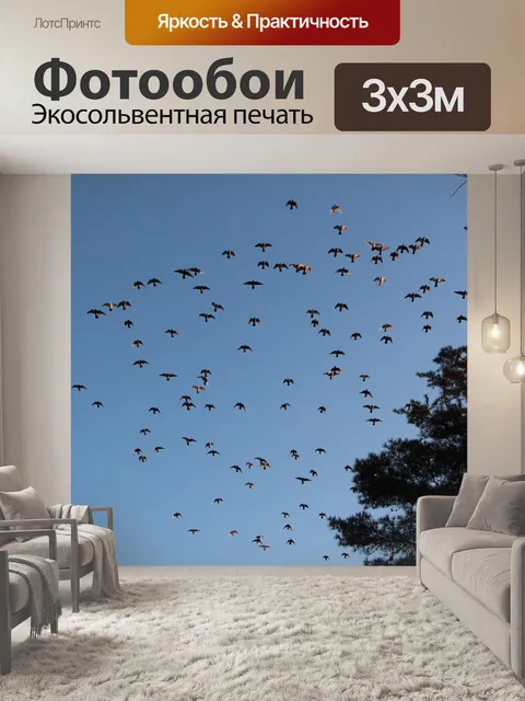 Фотообои Новые функции