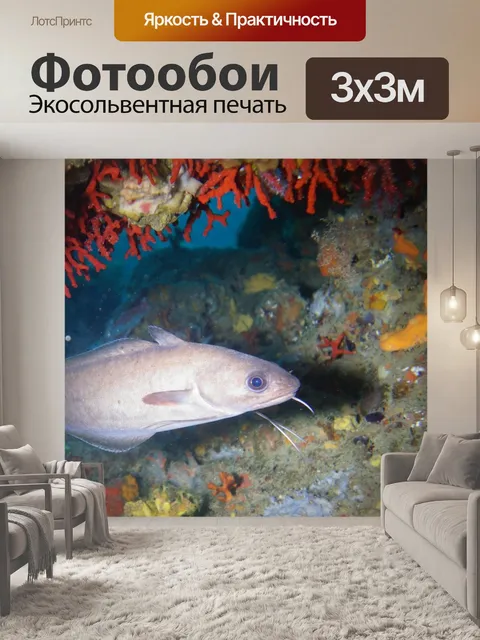 Фотообои Рыба
