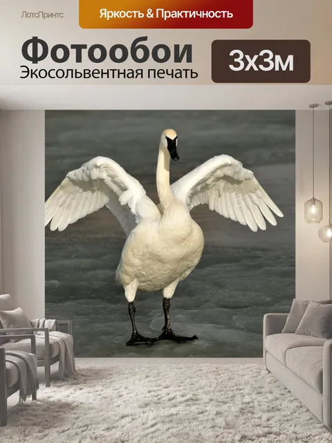 Фотообои Белая птица с длинной шеей