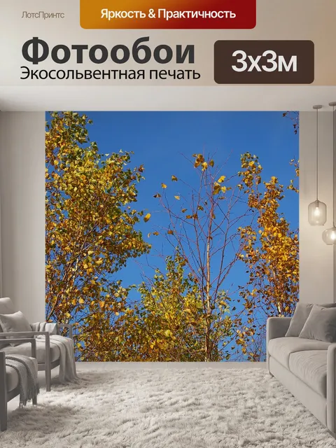 Фотообои Березовый лес
