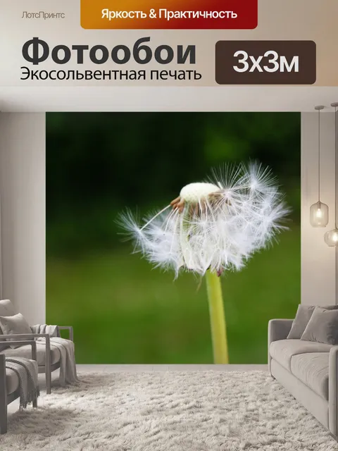 Фотообои Одуванчик