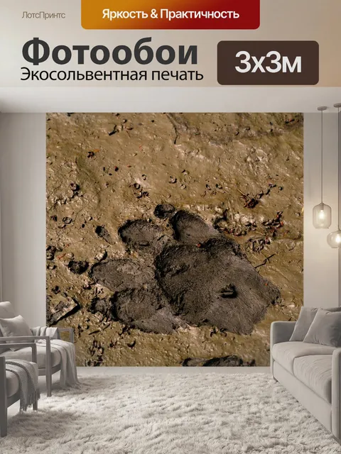 Фотообои Собака