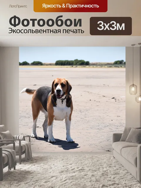 Фотообои Большой Бигл собак