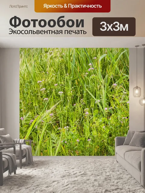 Фотообои Трава и полевые цветы