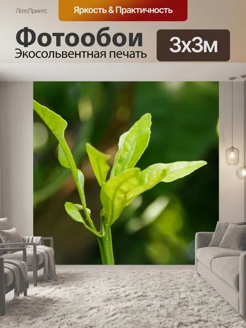 Фотообои Новые листья в фруктовом саду